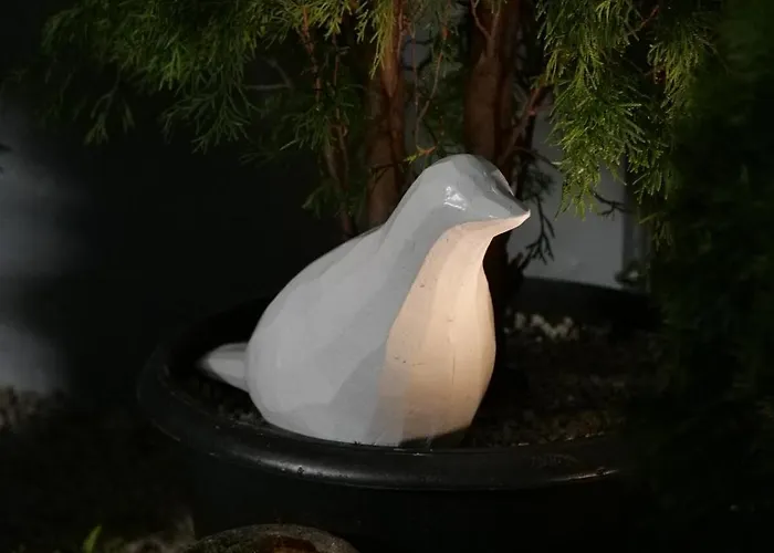 Nodak 公寓
